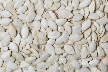 Pumpkin seed in a studio