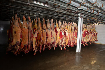 Storage of cold meat in meat production. Meat industry or factory.