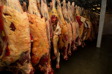 Raw meat at a meat processing plant. Storage of cold meat in meat production. Meat industry or factory.