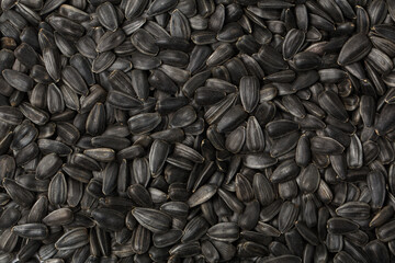 Sunflower seeds in studio