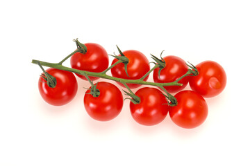 Ripe tomatoes on the branch