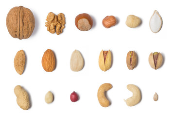 Different types of nuts in composition isolated on white in studio
