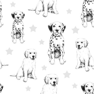 animal sketch pencil drawing of a dog cute little puppy illustration of a pet pattern 2 with the stars