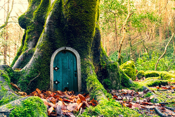 Fairytale fantasy house in tree trunk in forest