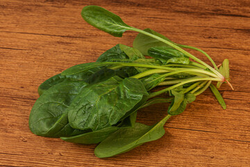 Fresh green Spinach leaves heap