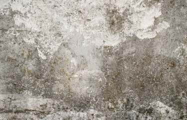 Olc concrete wall texture