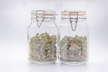 Cannabis buds in a container jar glass on white background. The texture of cannabis leaves. Close-up photo with copy space for text.  Concept of cannabis plantation for medical