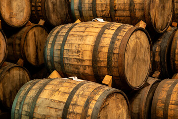 Wine barrels on old cellar