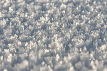 Frozen ice crystals on the ground (macro)  unfocused back- and foreground