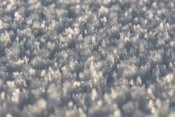 Frozen ice crystals on the ground (macro)  unfocused back- and foreground