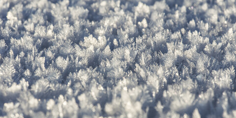 Frozen ice crystals on the ground (macro)  unfocused back- and foreground