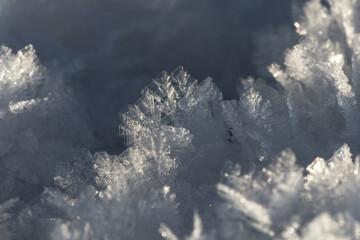 Frozen ice crystals on the ground (macro)  unfocused back- and foreground