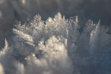 Frozen ice crystals on the ground (macro) unfocused back- and foreground