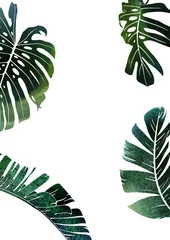Foto op Aluminium Monstera Greeting card with tropical leaves, can be used as invitation card for wedding, birthday and other holiday and  summer background. Watercolor illustration. Botanical art