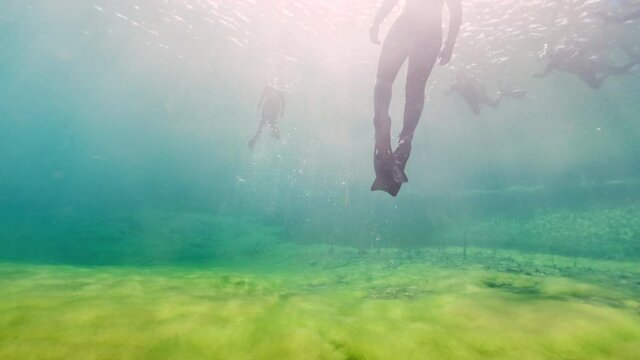 Beautiful underwater shot showing silhouette of divers in freshwater pond named Ewens in National Park.Sunny day with lighting plants underwater.