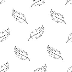Seamless pattern contour of feathers. Hand drawing. Vector illustration. white background.