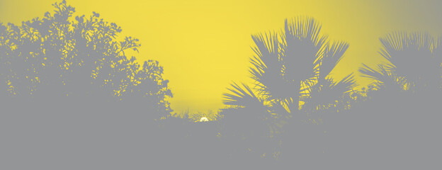 Beautiful fiery sunset sky on the beach. Visualization trendy colors of year 2021 - Gray and Yellow.