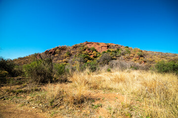Parc national du Pilanesberg, Afrique du Sud