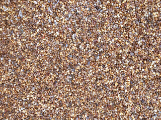 Mix color of gravel, use sidewalk to decorate the garden. Fine gravel, natural stones. background texture.