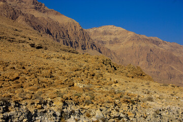 Mountain nature landscape. Desert on a sunny day. Negev Desert in Israel