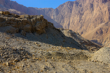 Mountain nature landscape. Desert on a sunny day. Negev Desert in Israel