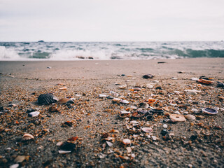 Beach and seashell