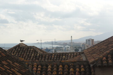 View over M&aacute;laga