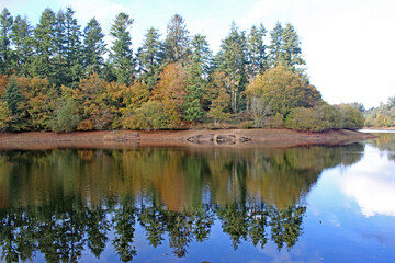 Obraz premium Reflections in Tottiford Reservoir, Devon, in Autumn 