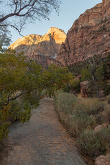 Stream leading to the Narrows of Zion National Park, Utah