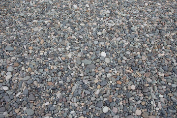 Nature background, Pebbles from gray sea pebbles. Pile of stones on beach