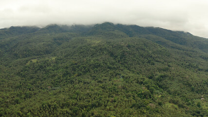 Naklejka premium Mountains with rainforest, trees in cloudy weather, aerial drone. Camiguin, Philippines. Mountain landscape on tropical island with mountain peaks covered with forest.
