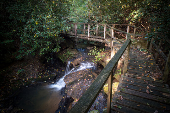 Path08