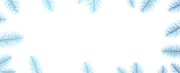 Fototapeta na wymiar Light blue spruce branches frame.