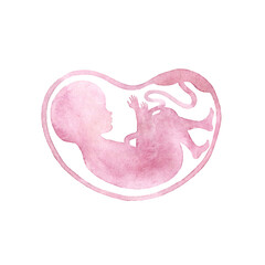 Baby in womb. Pink child silhouette.Watercolor hand drawn illustration.White background.	