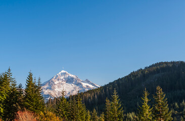 Mt. Hood From Lolo Pass Mt. Hood National Forest