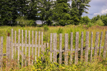 Fototapeta na wymiar Old wooden fence. An abandoned garden. Rustic grey picket fence