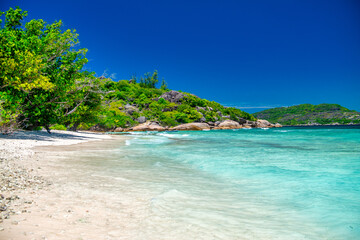 Amazing tropical vegetation and ocean in La Digue, Seychelles