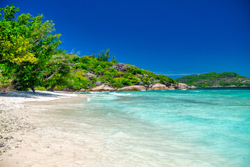 Fototapeta na wymiar Amazing tropical vegetation and ocean in La Digue, Seychelles