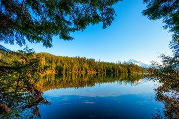 Obraz premium Lost Lake Mt. Hood National Forest