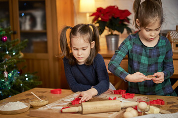 two cute sisters make and decorate Christmas gingerbread cookies