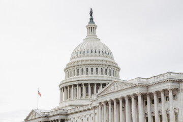 United States Capitol in Washington DC	 - obrazy, fototapety, plakaty