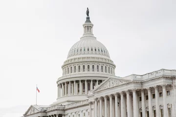United States Capitol in Washington DC  © Dennis