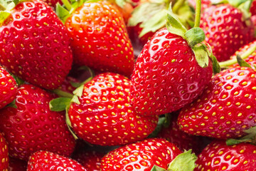 Fresh organic Strawberry fruit background