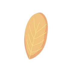 icon of yellow leaf, colorful design