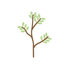 branch with leaves icon, colorful design