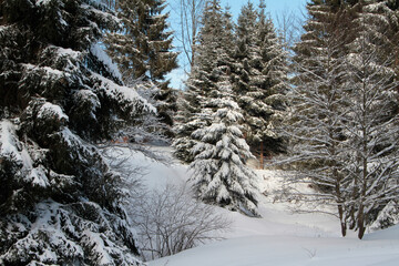 Winterlandschaft, ein Zauber in Schnee und Eis. Kleinschmalkalden, Thüringen, Deutschland, Europa -- 
Winter landscape, a magic in snow and ice. Kleinschmalkalden, Thuringia, Germany, Europe