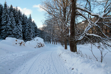 Winterlandschaft, ein Zauber in Schnee und Eis. Kleinschmalkalden, Thüringen, Deutschland, Europa -- 
Winter landscape, a magic in snow and ice. Kleinschmalkalden, Thuringia, Germany, Europe