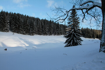 Winterlandschaft, ein Zauber in Schnee und Eis. Kleinschmalkalden, Thüringen, Deutschland, Europa -- 
Winter landscape, a magic in snow and ice. Kleinschmalkalden, Thuringia, Germany, Europe