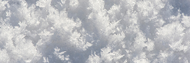 detail of fresh powdwer snow as Background