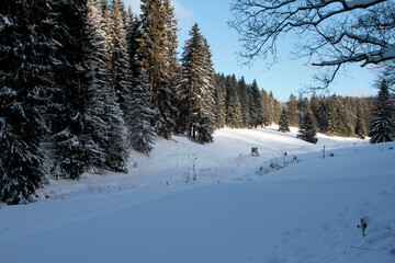 Winterlandschaft, ein Zauber in Schnee und Eis. Kleinschmalkalden, Thüringen, Deutschland, Europa -- 
Winter landscape, a magic in snow and ice. Kleinschmalkalden, Thuringia, Germany, Europe